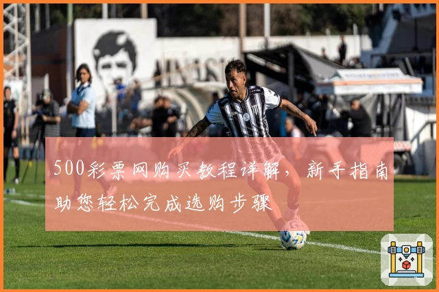 500彩票网购买教程详解，新手指南助您轻松完成选购步骤