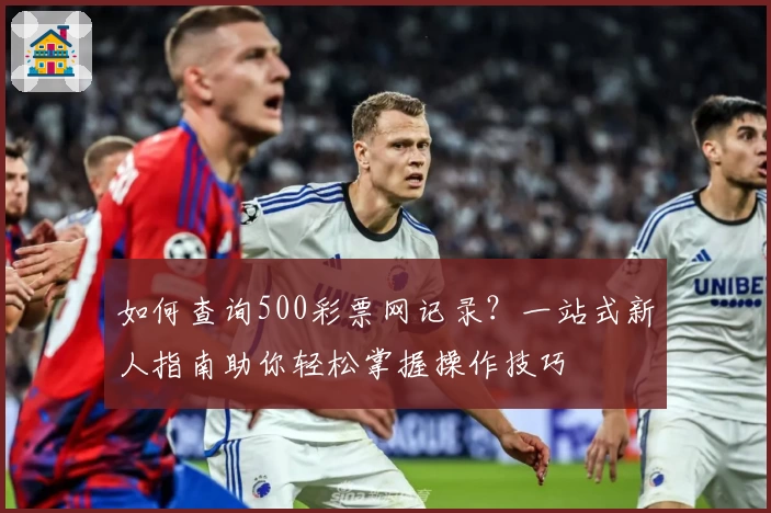 如何查询500彩票网记录？一站式新人指南助你轻松掌握操作技巧