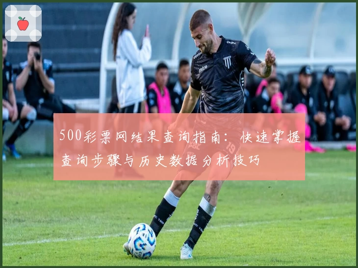 500彩票网结果查询指南：快速掌握查询步骤与历史数据分析技巧
