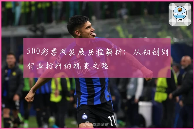 500彩票网发展历程解析：从初创到行业标杆的蜕变之路