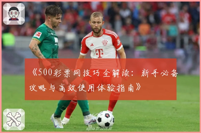 《500彩票网技巧全解读：新手必备攻略与高效使用体验指南》